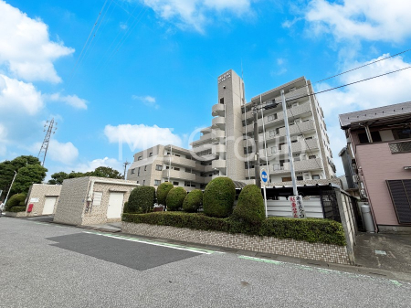 nOώʐ^@Ƃ肪Ί𐶂ސSn悢