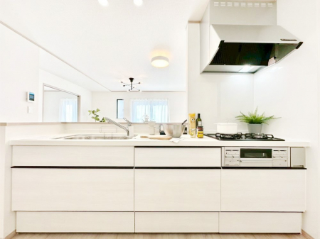 Lb`@VXeLb`̓VvŃXbLO̗ȂfUCȂ̂ŉigI