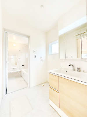 ���̑��@�_�炩�Ȓ��̌����������鑋�����������h���[�X�y�[�X