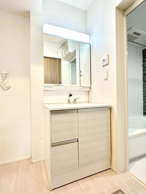 ʑEʏ@傫₷OʋŐʑ́AgȂ݃`FbN┧̂ɂ߂łB 