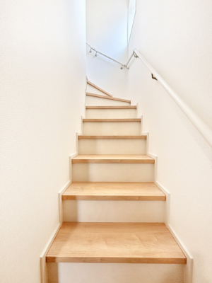 ̑@Ȃql₲Nz̕ɊzIKiɂ͎萠tłB