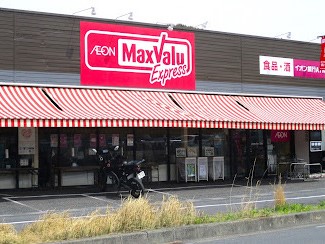 ӊ@X[p[ 290m }bNXoGNXvXqX