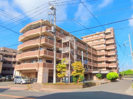 nOώʐ^@Ƃ肪Ί𐶂ސSn悢 