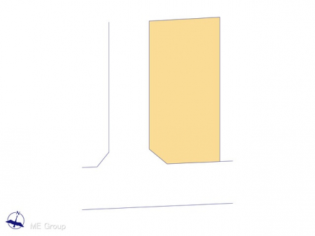 Ԏ}îPˌj@}ʂƈقȂꍇ͌D