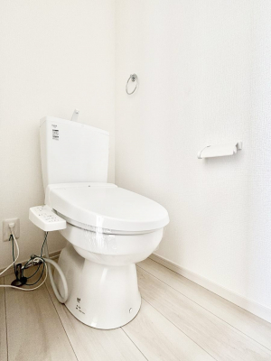 �g�C���@�g�C���͉������@�\�t��