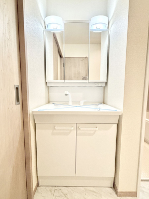 ʑEʏ@傫₷OʋŐʑ́AgȂ݃`FbN┧̂ɂ߂łB 