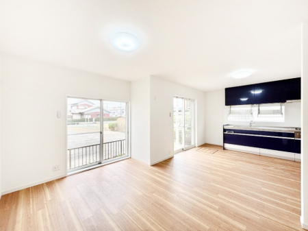 rO@傫ȑ炽Ղ̗zƕ郊rO  