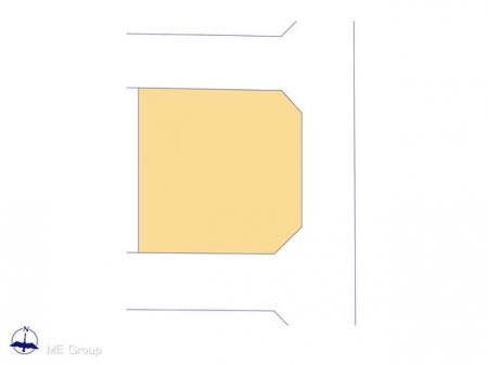 Ԏ}îPˌj@}ʂƈقȂꍇ͌D