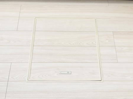 ���̑����ρ@�������[�t���I���p�i�E���p�i�̎��[�ɂ��劈��B