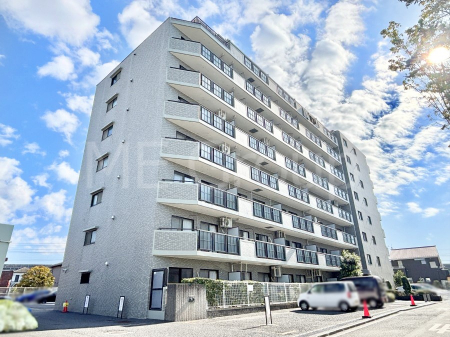 nOώʐ^@Ƃ肪Ί𐶂ސSn悢 