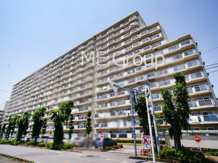 nOώʐ^@Ƃ肪Ί𐶂ސSn悢   