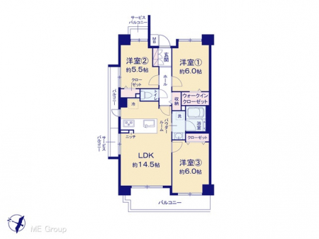 Ԏ}îP}Vj@}ʂƈقȂꍇ͌D