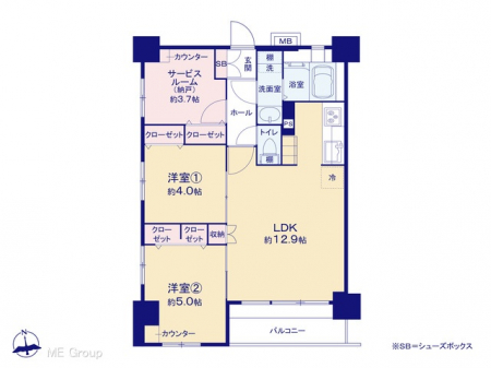 Ԏ}îP}Vj@}ʂƈقȂꍇ͌D