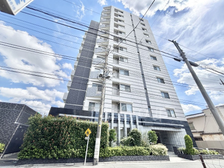 nOώʐ^@Ƃ肪Ί𐶂ސSn悢 