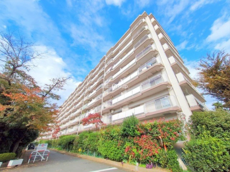 nOώʐ^@Ƃ肪Ί𐶂ސSn悢 