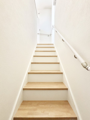 ���̑��@�K�i�͎肷��t���Ȃ̂ŏ����Ȃ��q���܂₲����̕������S�ł�