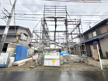 nOώʐ^@Ƃ肪Ί𐶂ސSn悢 