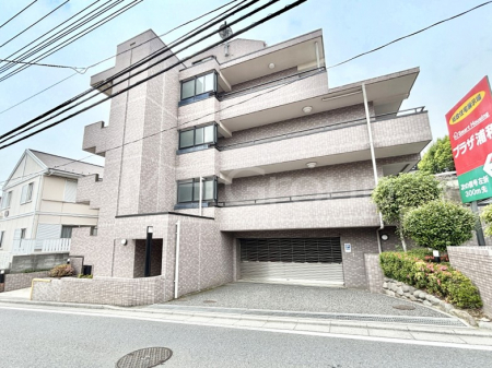 nOώʐ^@Ƃ肪Ί𐶂ސSn悢 