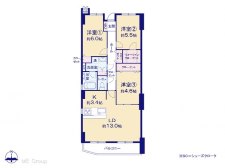 Ԏ}îP}Vj@}ʂƈقȂꍇ͌D