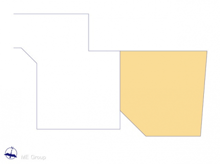 Ԏ}îPˌj@}ʂƈقȂꍇ͌D