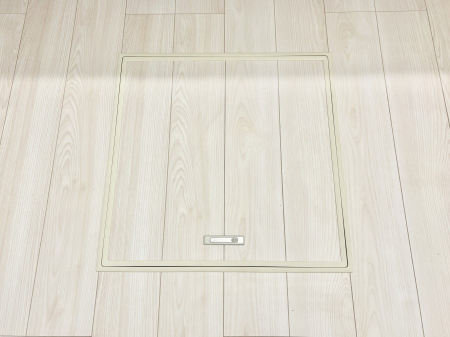 ���̑����ρ@�������[�t���I���p�i�E���p�i�̎��[�ɂ��劈��B