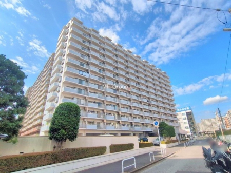 nOώʐ^@Ƃ肪Ί𐶂ސSn悢 