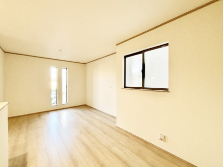 rO@傫ȑ炽Ղ̗zƕ郊rO