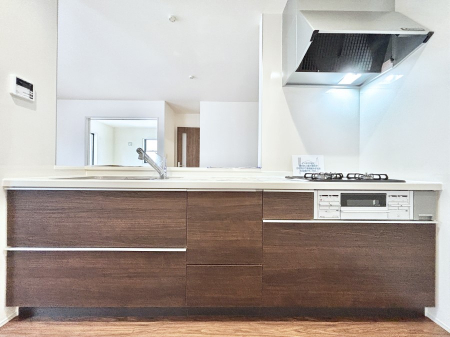 Lb`@rOnlC̃JE^[Lb`B ƑȂƎ邱Ƃł܂B