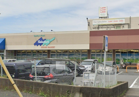 ӊ@X[p[ 1100m ZNV tX