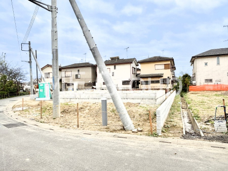 nOώʐ^@Ƃ肪Ί𐶂ސSn悢 