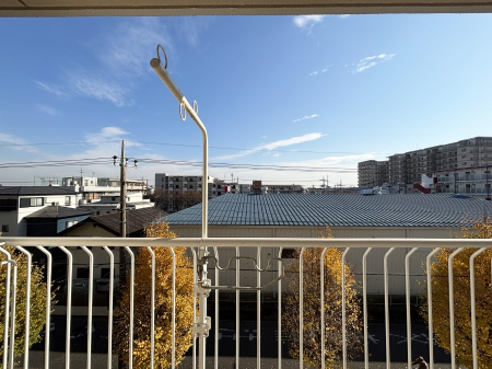 ���̑��@�o���R�j�[����̒��]�ł�