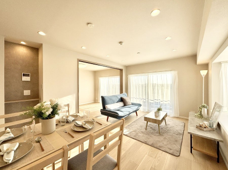 rO@傫ȑ炽Ղ̗zƕ郊rO  