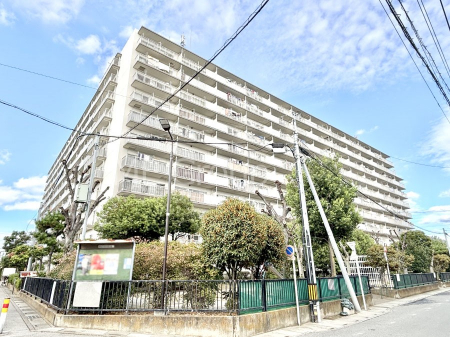 nOώʐ^@Ƃ肪Ί𐶂ސSn悢 