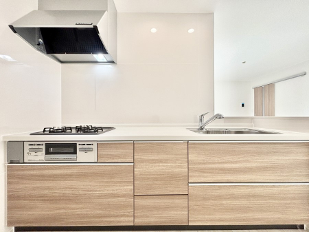 �L�b�`���@�������������I�ɁA�y�����I�V�X�e���L�b�`��  