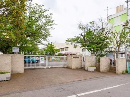 ӊ@wZ 290m s݉ƏwZ