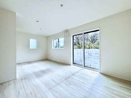 rO@傫ȑ炽Ղ̗zƕ郊rO