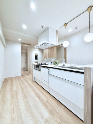 �L�b�`���@�������������I�ɁA�y�����I�V�X�e���L�b�`��