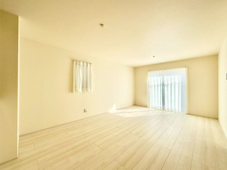 rO@傫ȑ炽Ղ̗zƕ郊rO