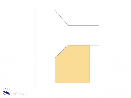 Ԏ}îPˌj@}ʂƈقȂꍇ͌D