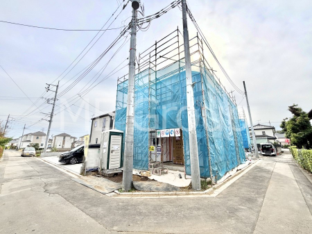 nOώʐ^@lC̊pnIn܂V܂I  