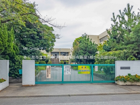 ӊ@wZ 800m tsL쒆wZ