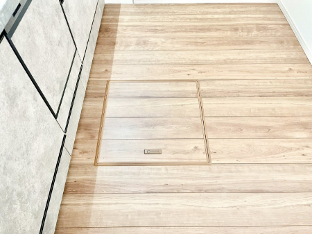 ���̑����ρ@�������[�t���I���p�i�E���p�i�̎��[�ɂ��劈��B