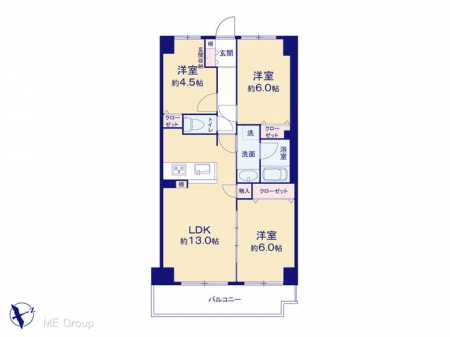 Ԏ}îP}Vj@}ʂƈقȂꍇ͌D