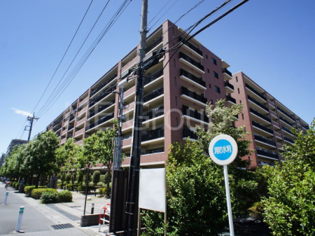 ���n�O�ώʐ^�@����z���ł��Ƒ��̏Ί���P��  