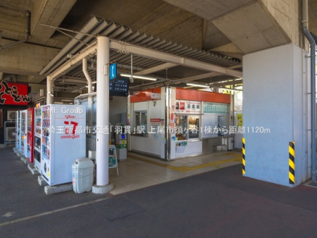 ���ӊ��@�w 1120m ��ʐV�s�s��ʁu�H�сv�w