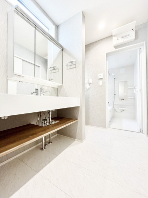 ̑@nCTbV̑_炩Ȓ̌ʎ