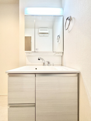 ʑEʏ@傫₷OʋŐʑ́AgȂ݃`FbN┧̂ɂ߂łB 