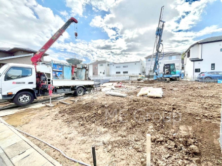 nOώʐ^@Ƃ肪Ί𐶂ސSn悢 