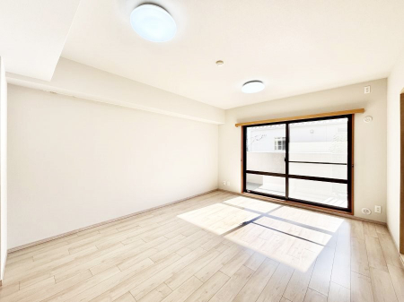 rO@傫ȑ炽Ղ̗zƕ郊rO