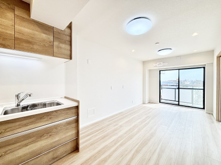 rO@傫ȑ炽Ղ̗zƕ郊rO